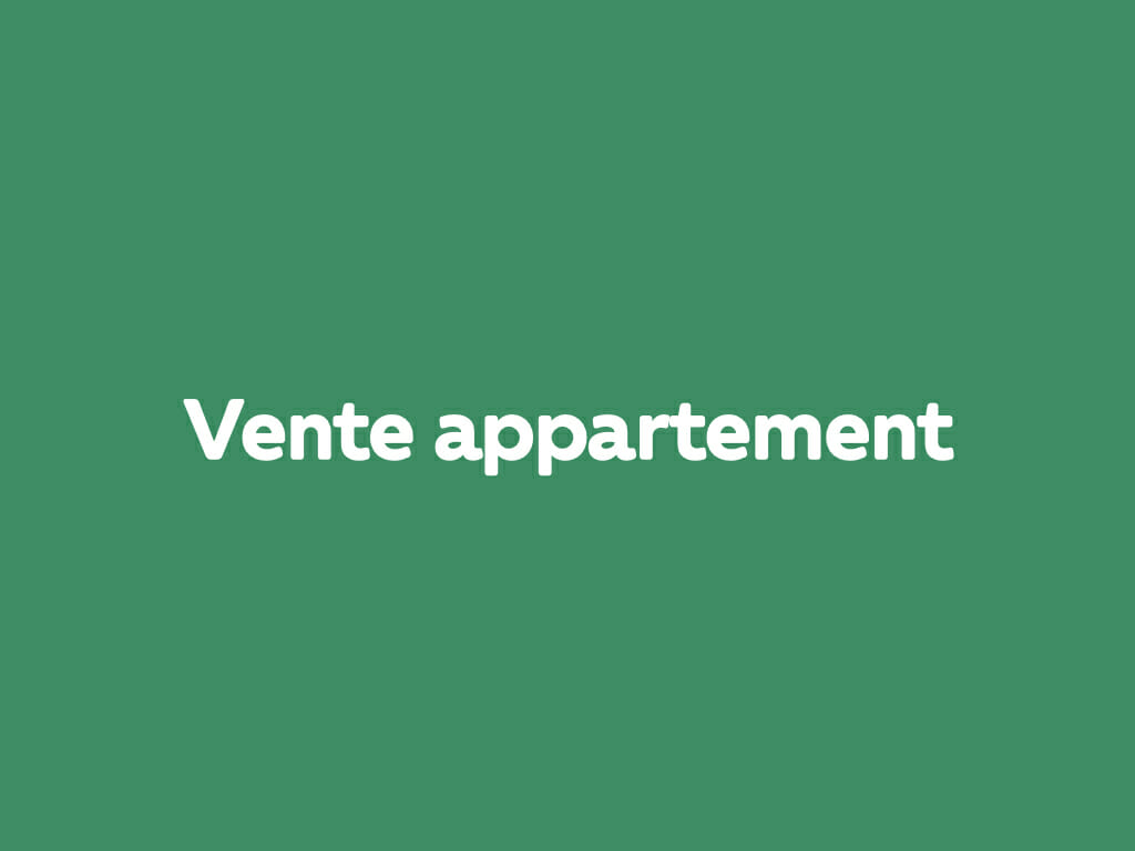 Vente appartement a neuville sur saone